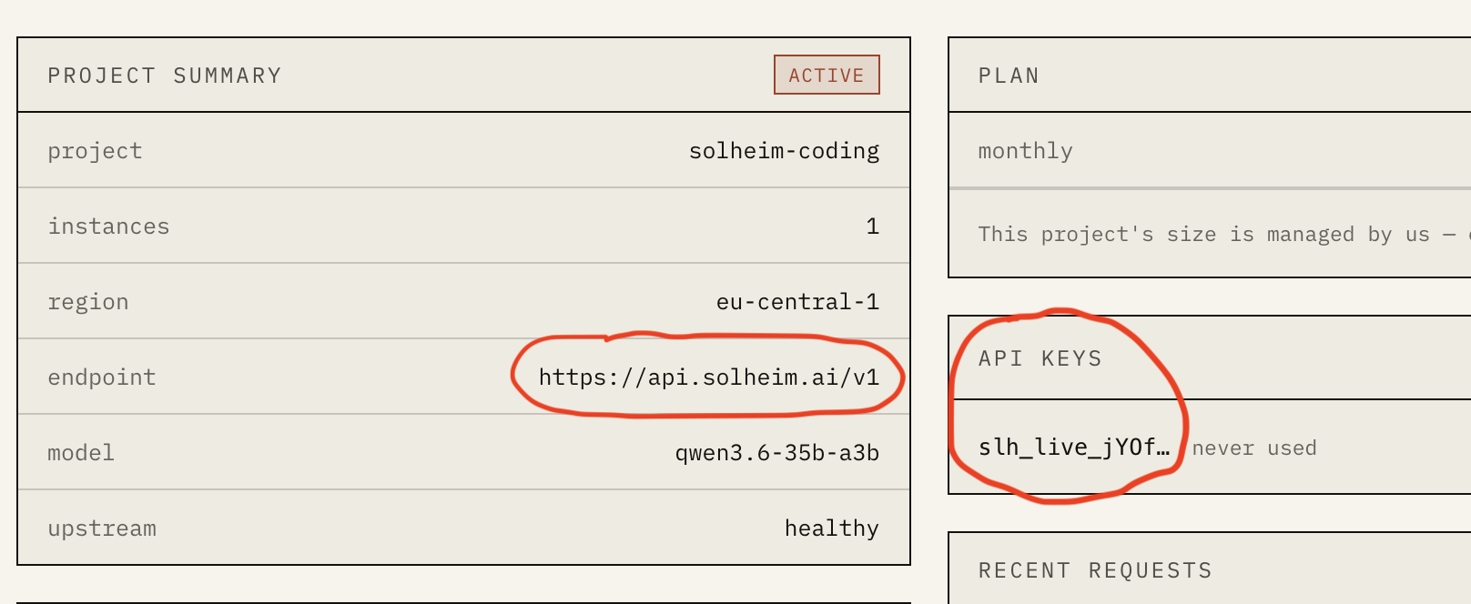 Solheim API key on the project overview page